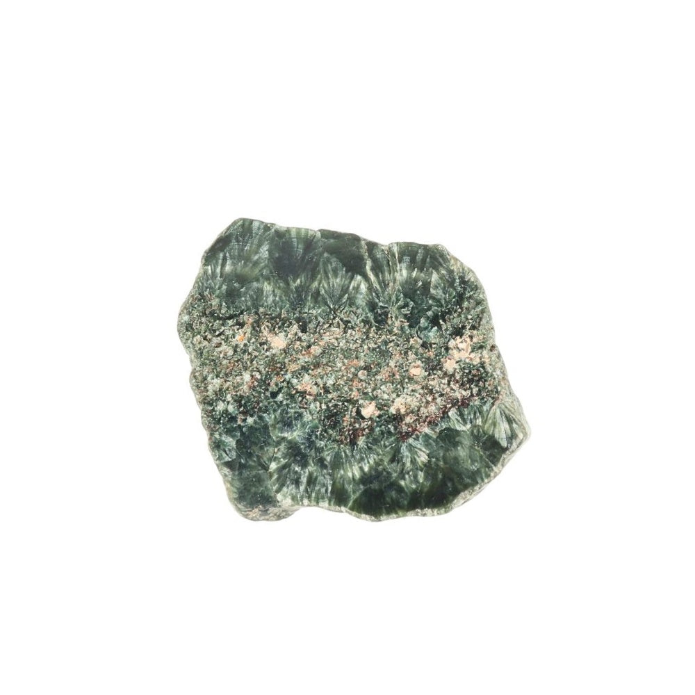 Serafiniet Schijf – 5