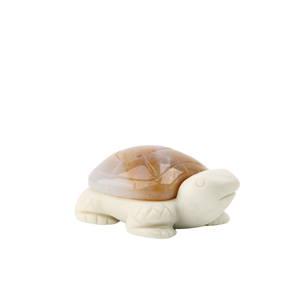 Chalcedoon Jaspis met Jade Ivory Schildpad - 3