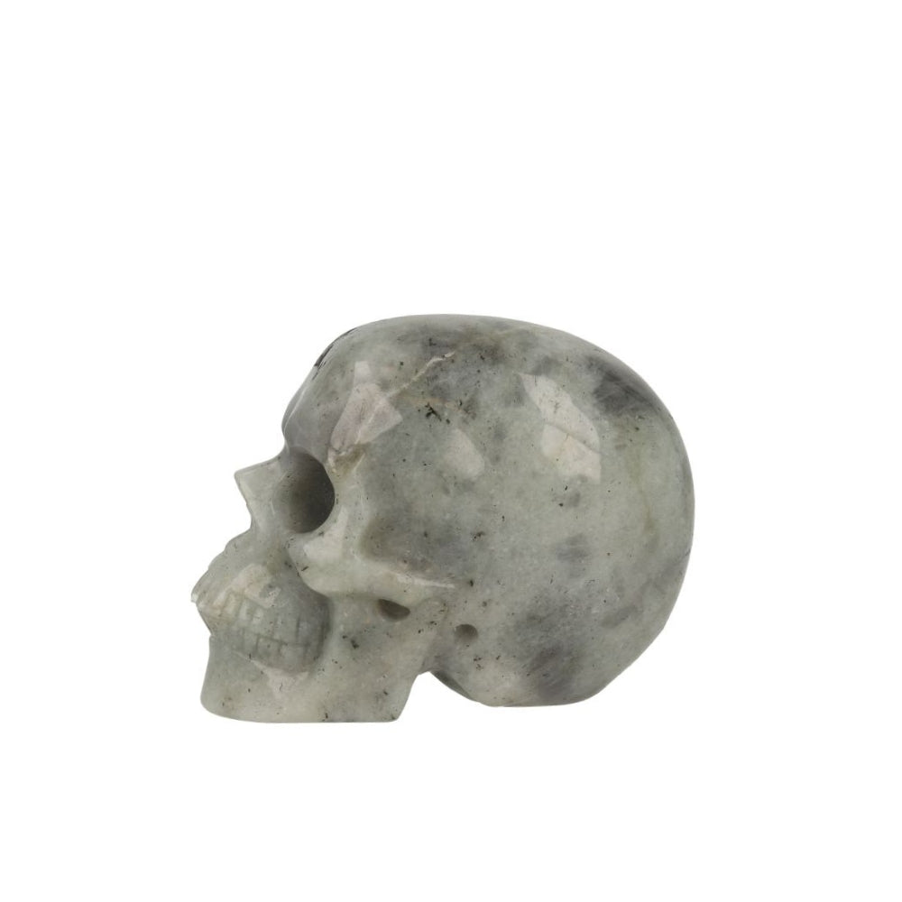 Labradoriet Skull - 2