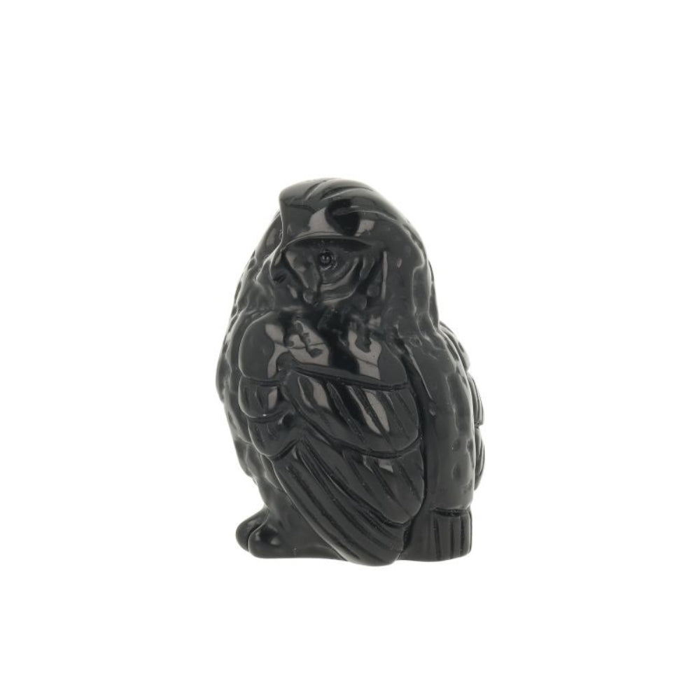 Zwarte Obsidiaan Uil