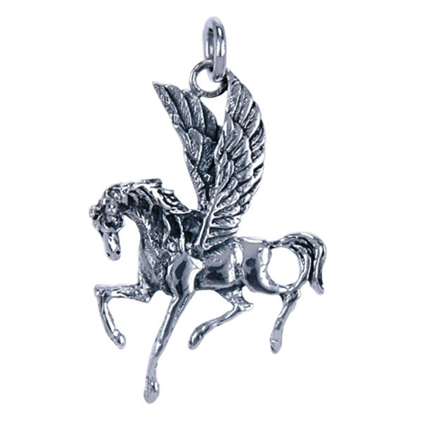 Symbool Hanger Pegasus