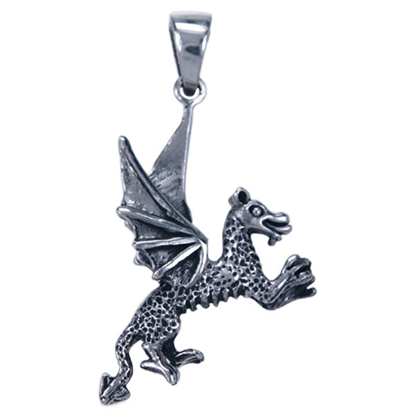 Symbool Hanger Draak - 3