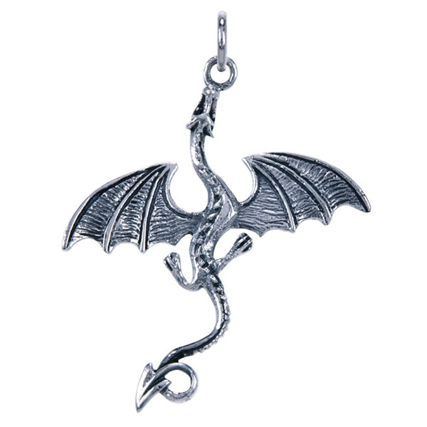 Symbool Hanger Draak - 1