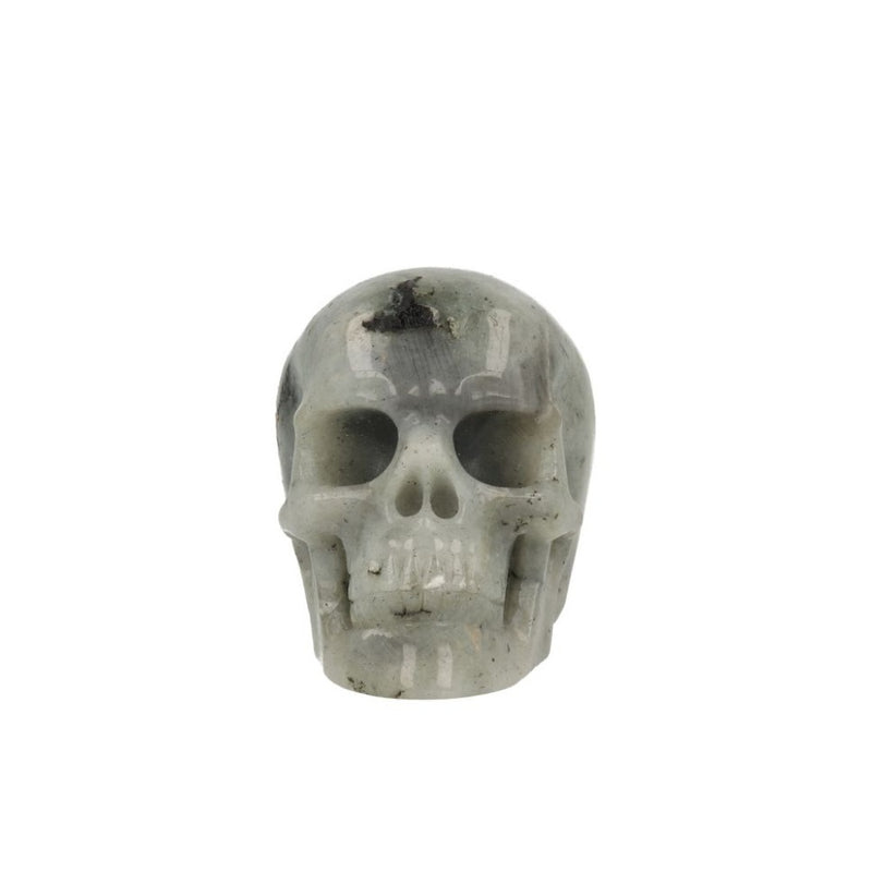 Labradoriet Skull - 2