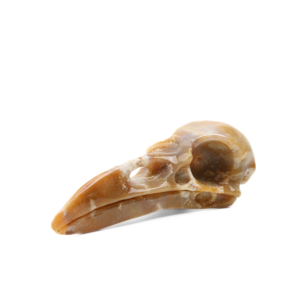 Chalcedoon Jaspis Raven Skull (groot) - 1