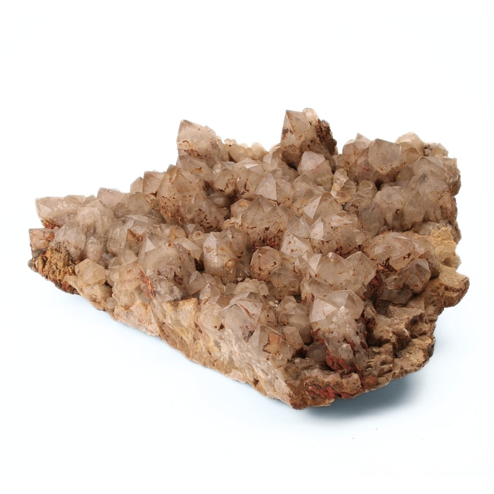 Citrien Cluster