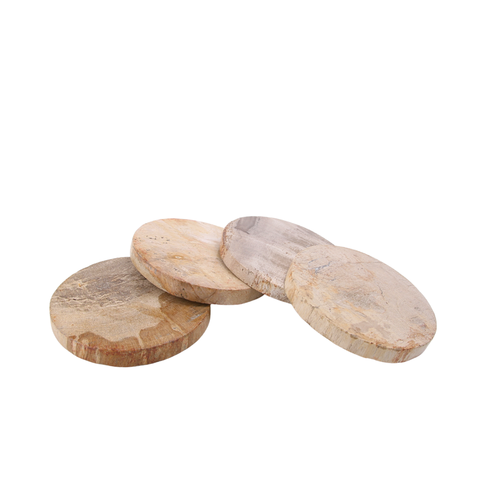 Versteend hout onderzetters, set van 4