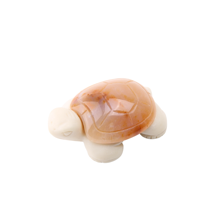Chalcedoon Jaspis met Jade Ivory Schildpad - 4