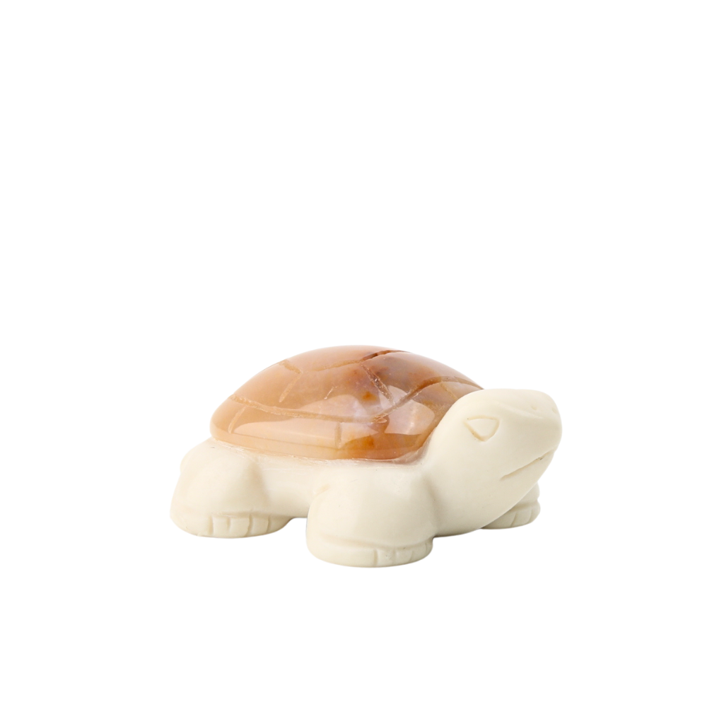 Chalcedoon Jaspis met Jade Ivory Schildpad - 4