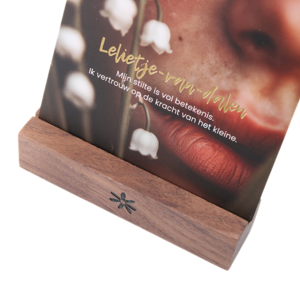 Wilde wijsheid book & cards - The Spirit Junkies