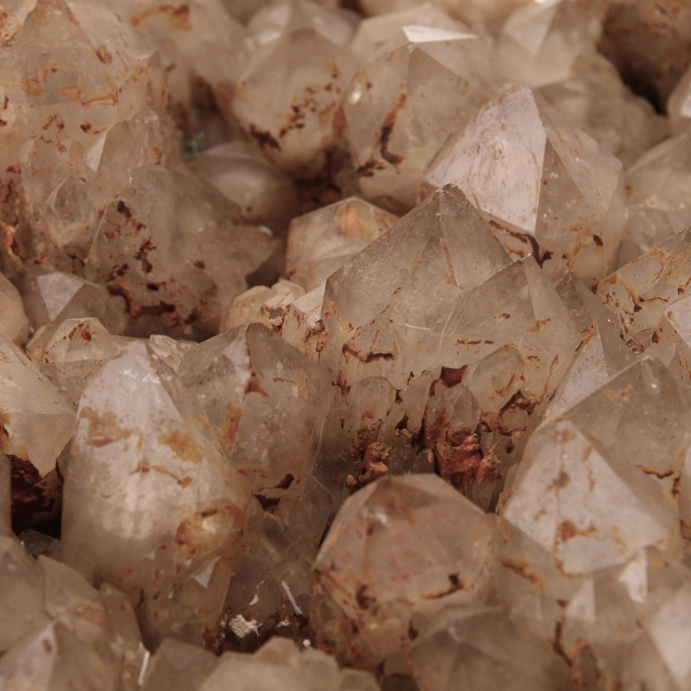 Citrien Cluster