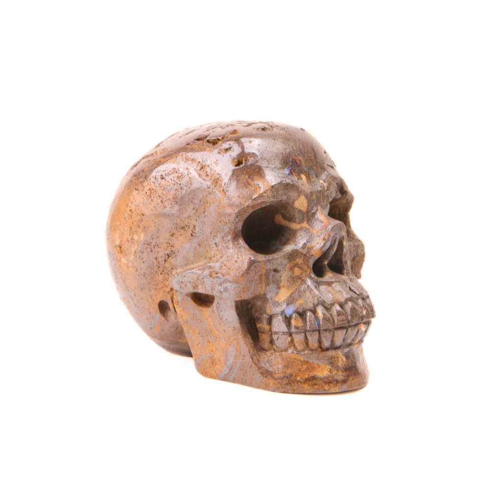 Opaal Boulder Skull - 1