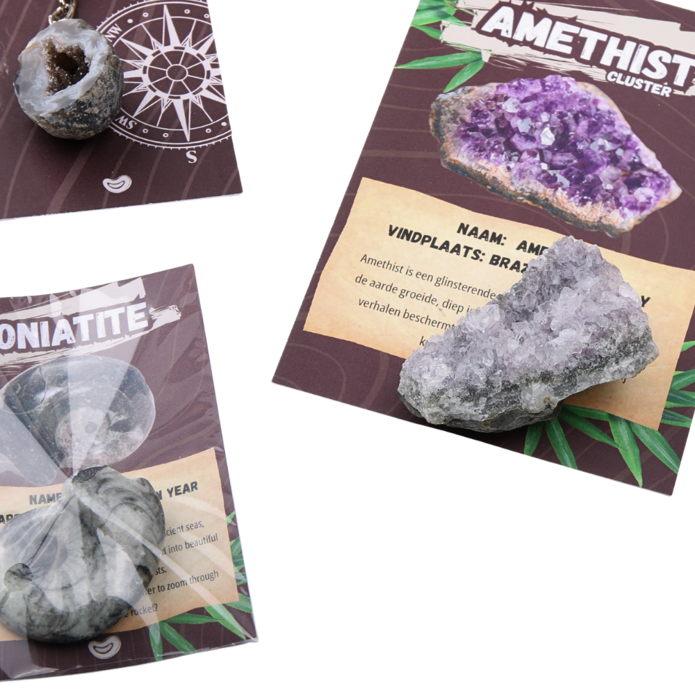Mineralen Adventure box
