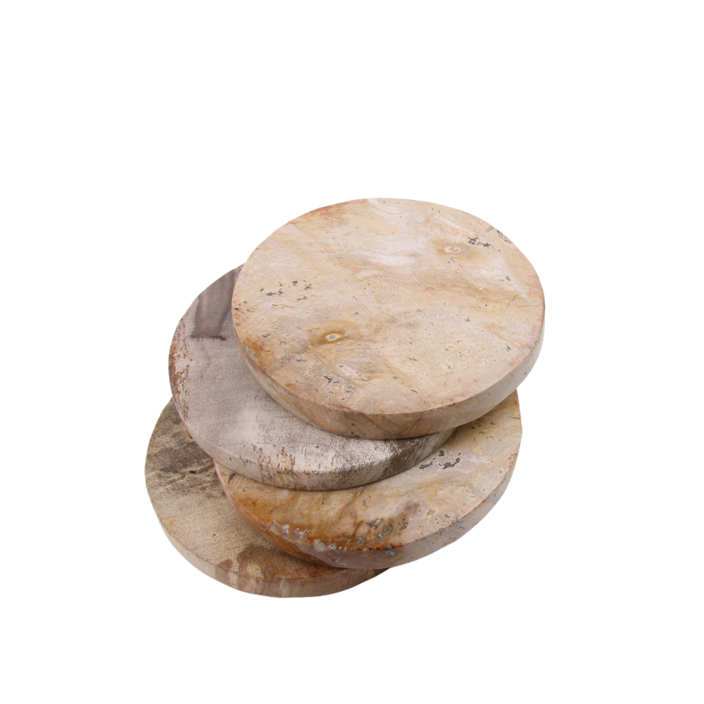 Versteend hout onderzetters, set van 4