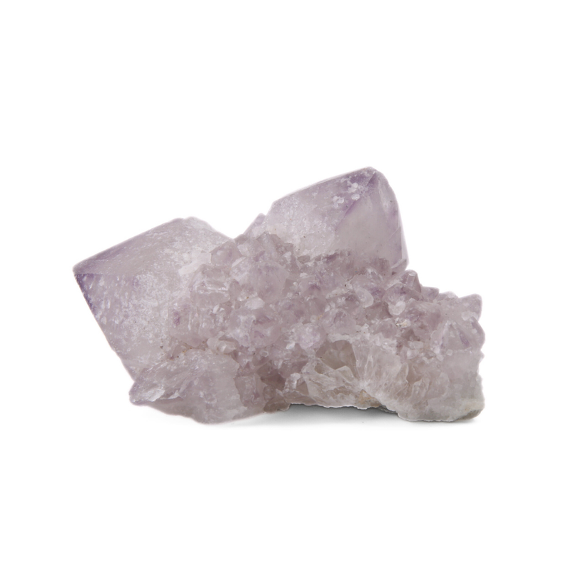 Cactuskwarts Ruw - 4