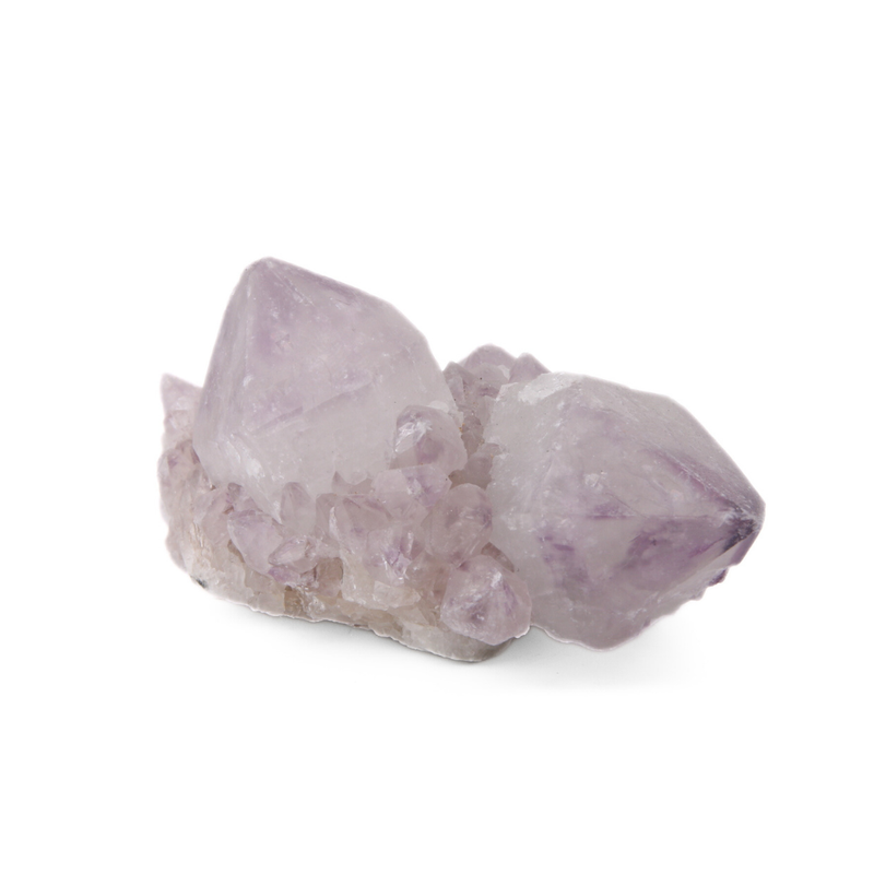 Cactuskwarts Ruw - 4