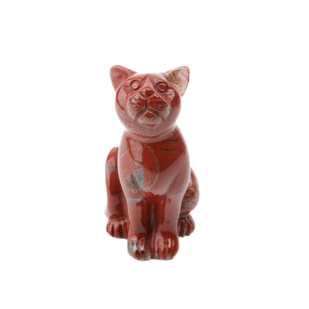Rode jaspis kat - 10