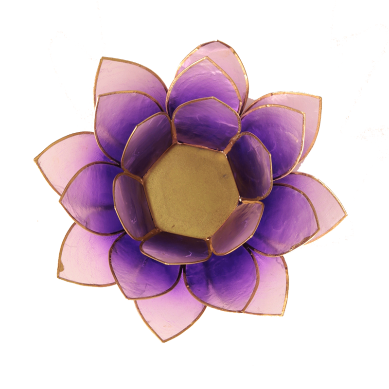 Lotus sfeerlicht violet goudrand *