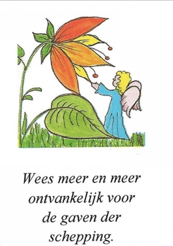 Angel Powerkaarten