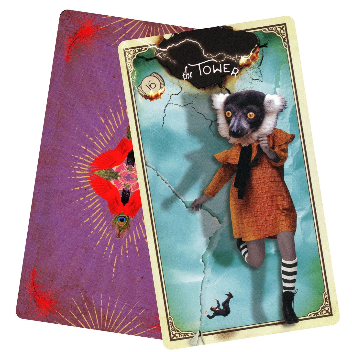 The Tarot of Curious Creatures