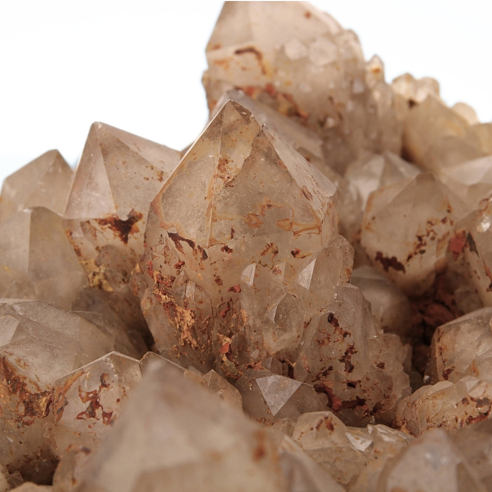 Citrien Cluster