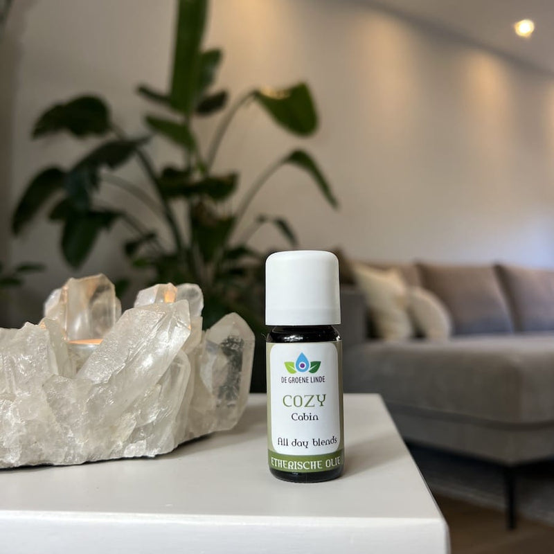 Cozy Cabin diffuser olie 10ml