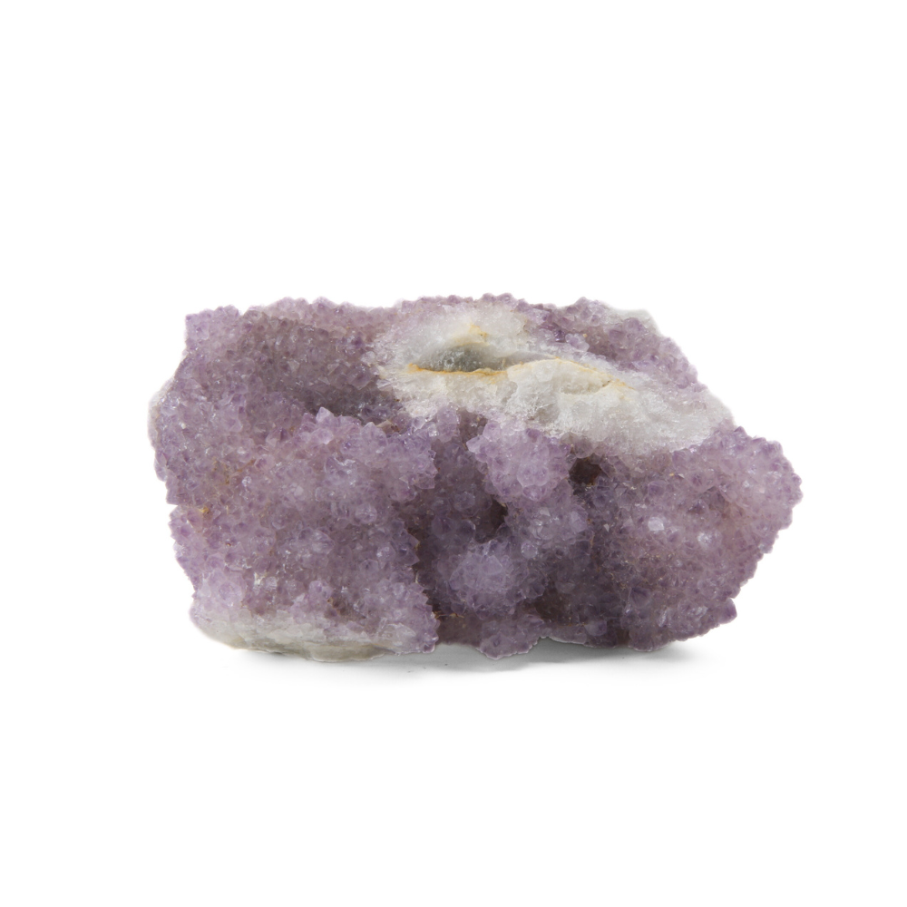 Cactuskwarts Ruw - 5