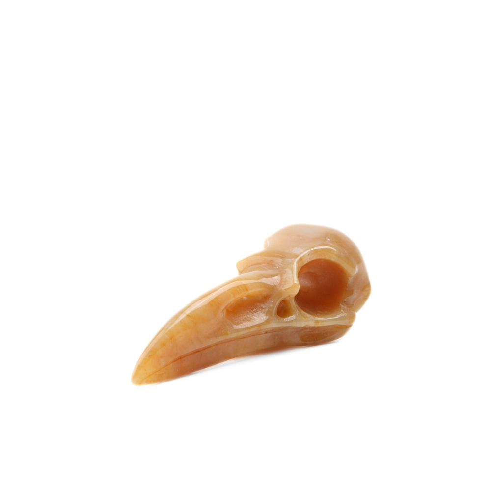 Chalcedoon Jaspis – Universiet Raven Skull - 1