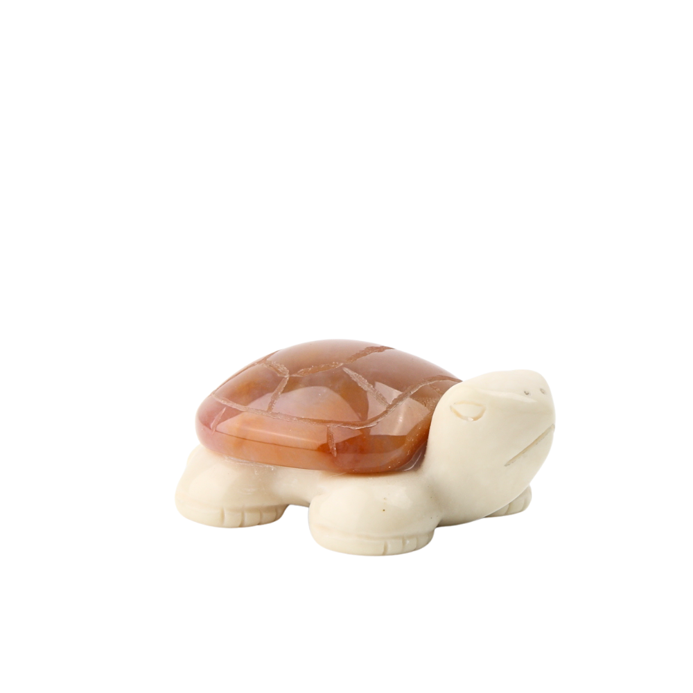 Chalcedoon Jaspis met Jade Ivory Schildpad - 6