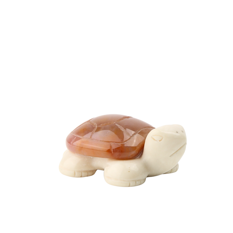 Chalcedoon Jaspis met Jade Ivory Schildpad - 6