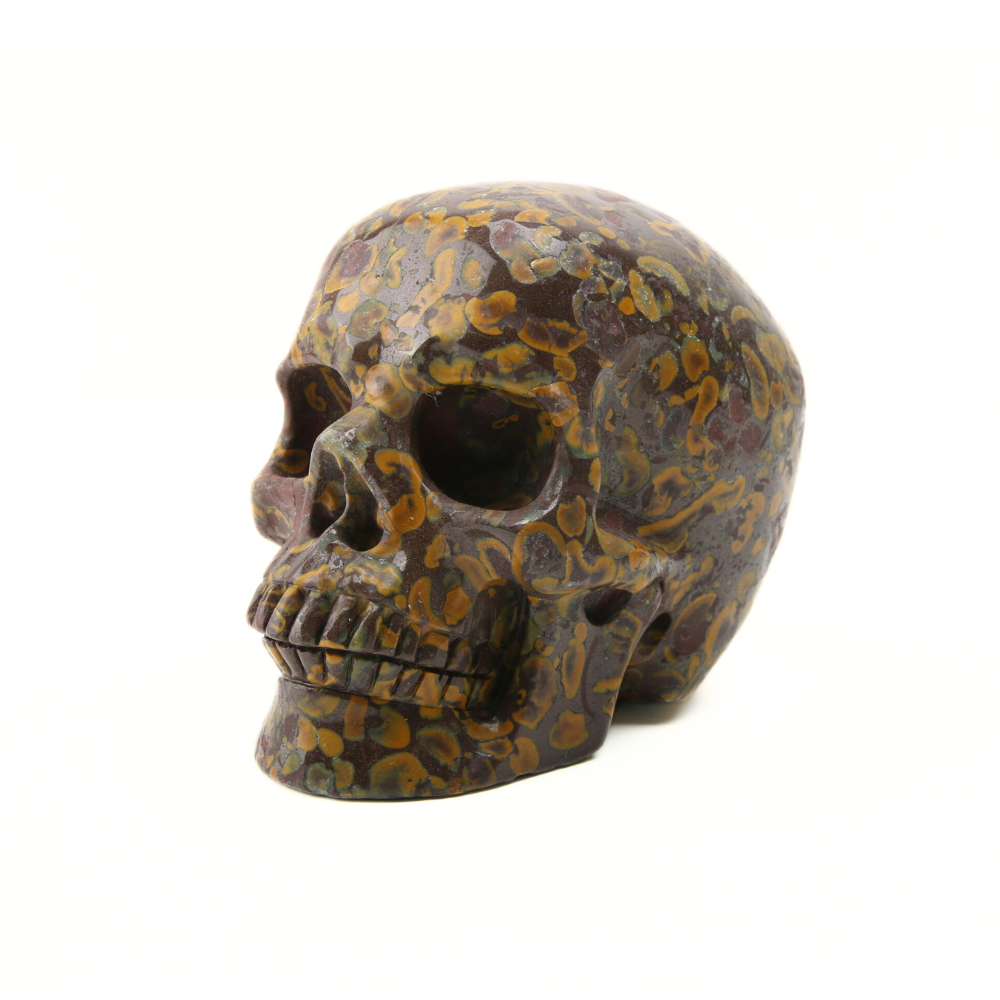 Oöliet Skull - 1