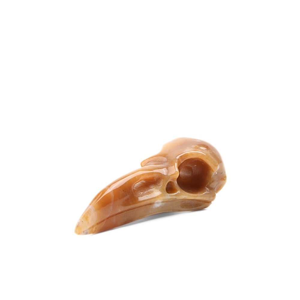 Chalcedoon Jaspis – Universiet Raven Skull - 2