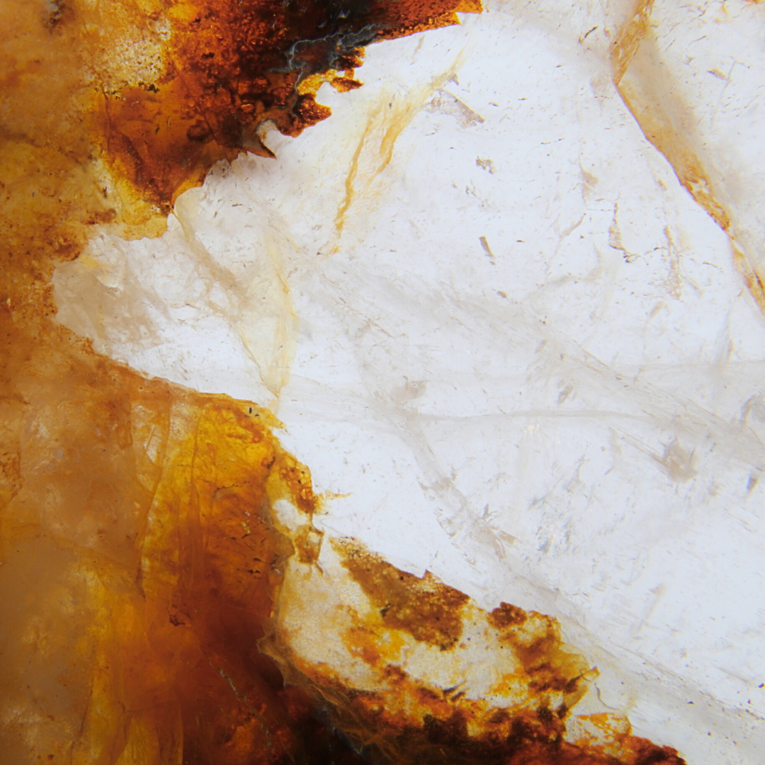 Golden Healer schijf - 1