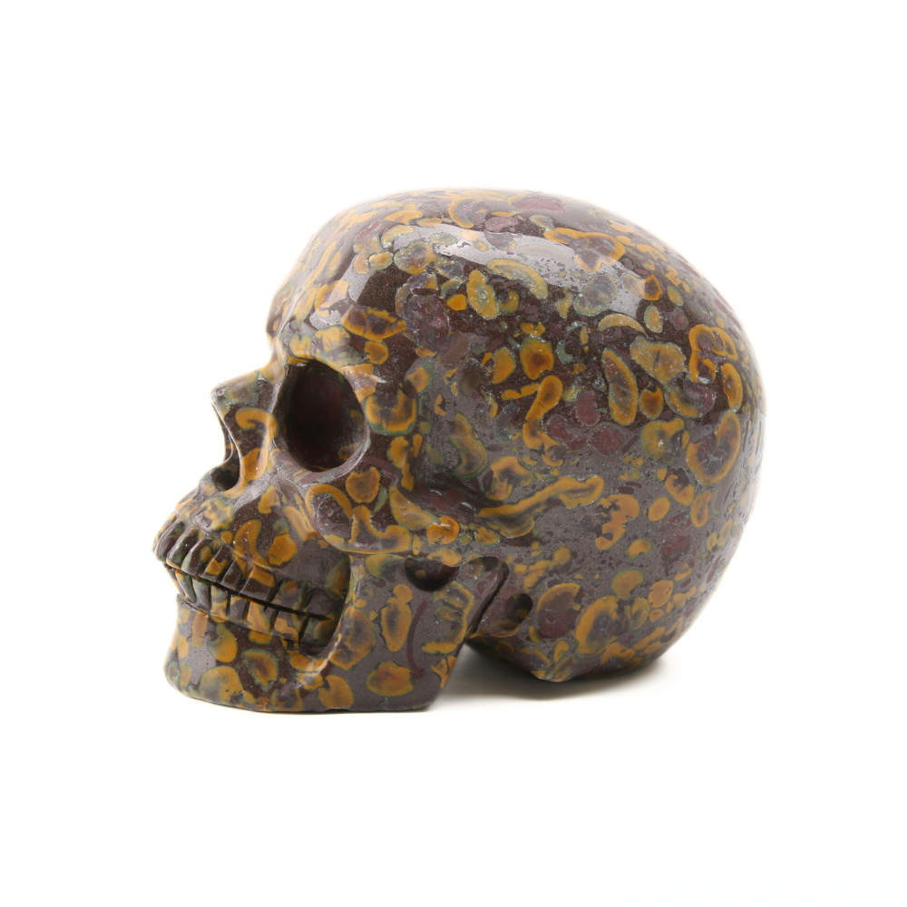 Oöliet Skull - 1