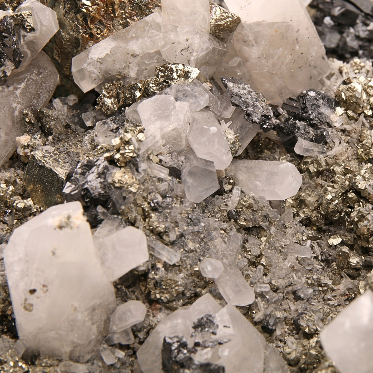 Pyriet Ruw - 20