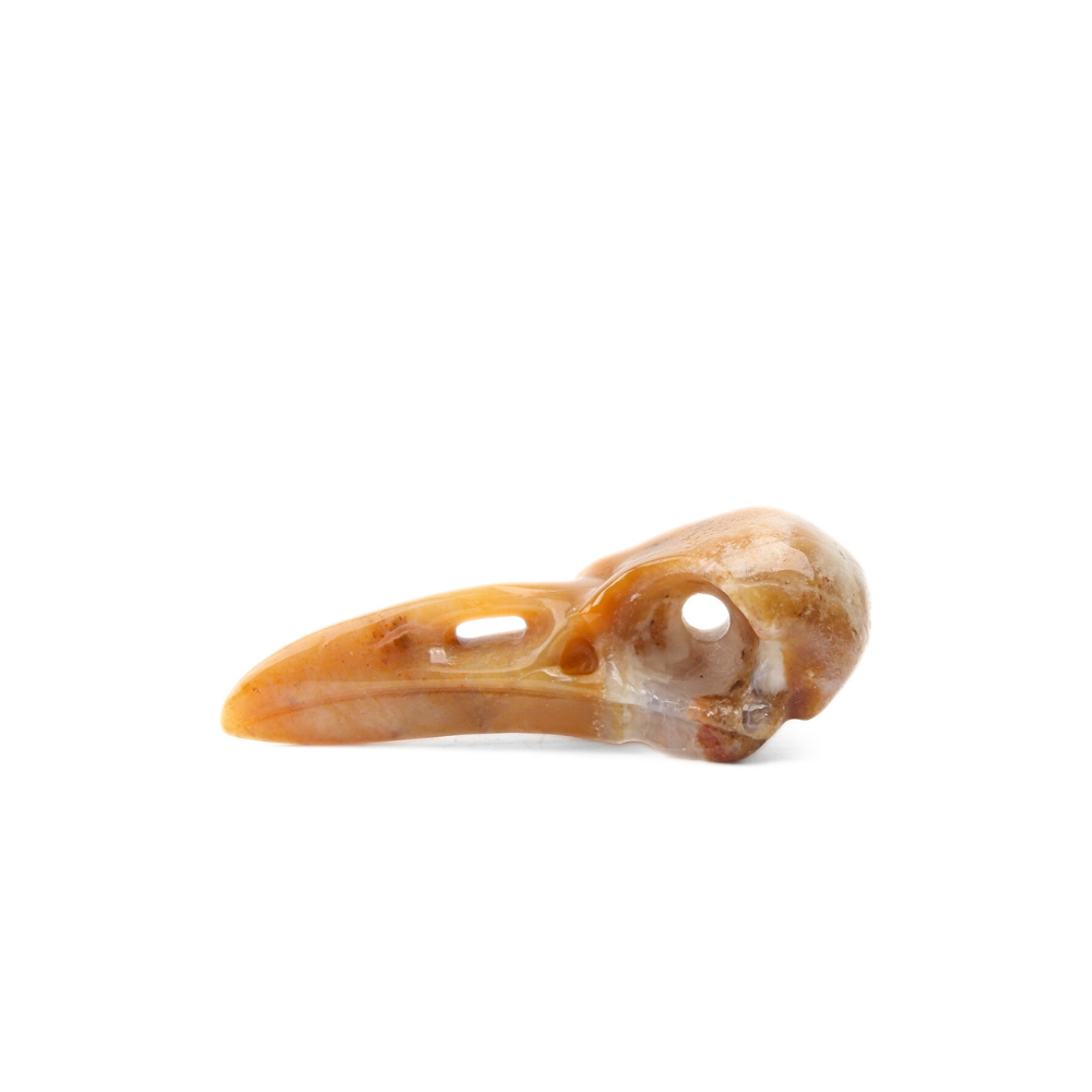 Chalcedoon Jaspis – Universiet Raven Skull - 3