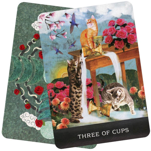 Grimalkin's Curious Cats Tarot – Ananda Spiritual Living
