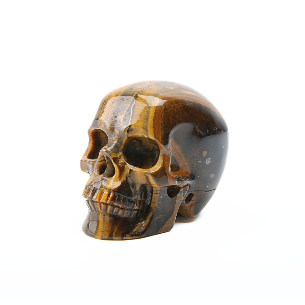 Tijgeroog Skull - 1