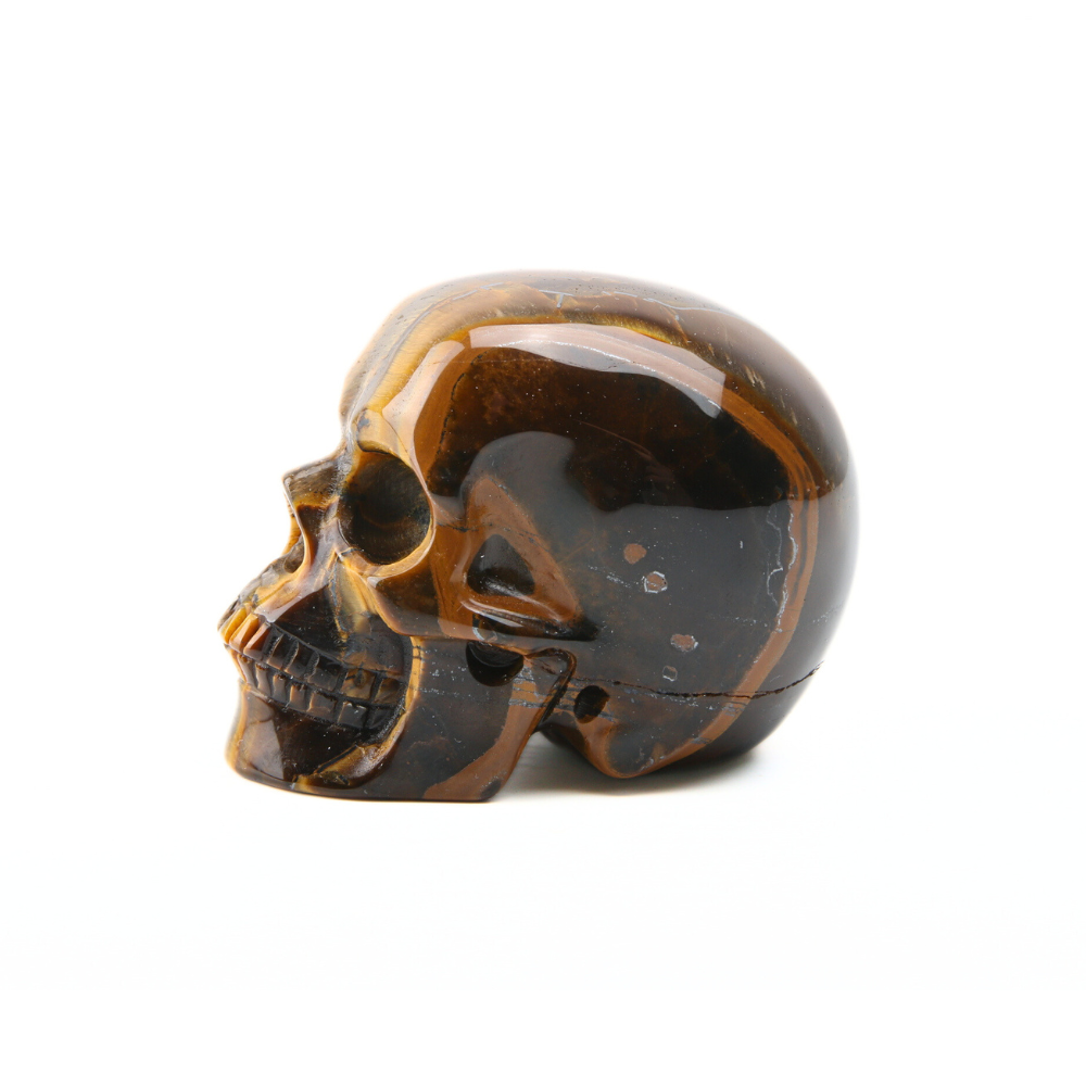 Tijgeroog Skull - 1
