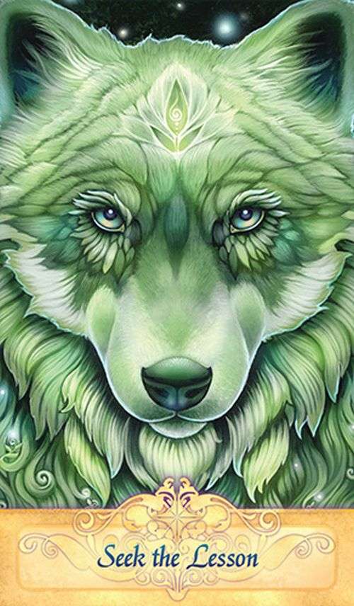 Messenger Oracle - New Edition