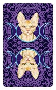 Tarot of the Pagan cats mini
