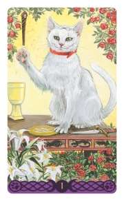 Tarot of the Pagan cats mini