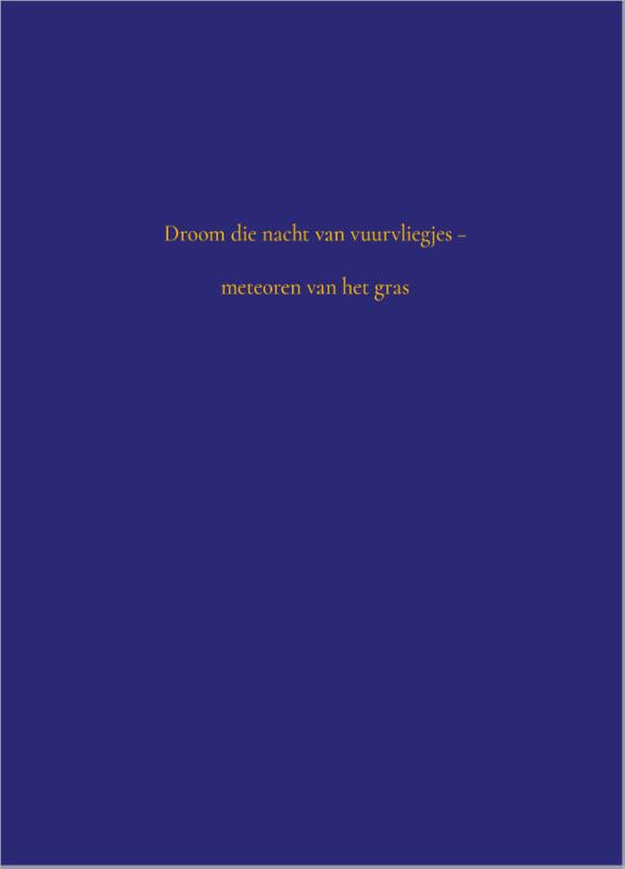 Vuurvliegjes (16/9)