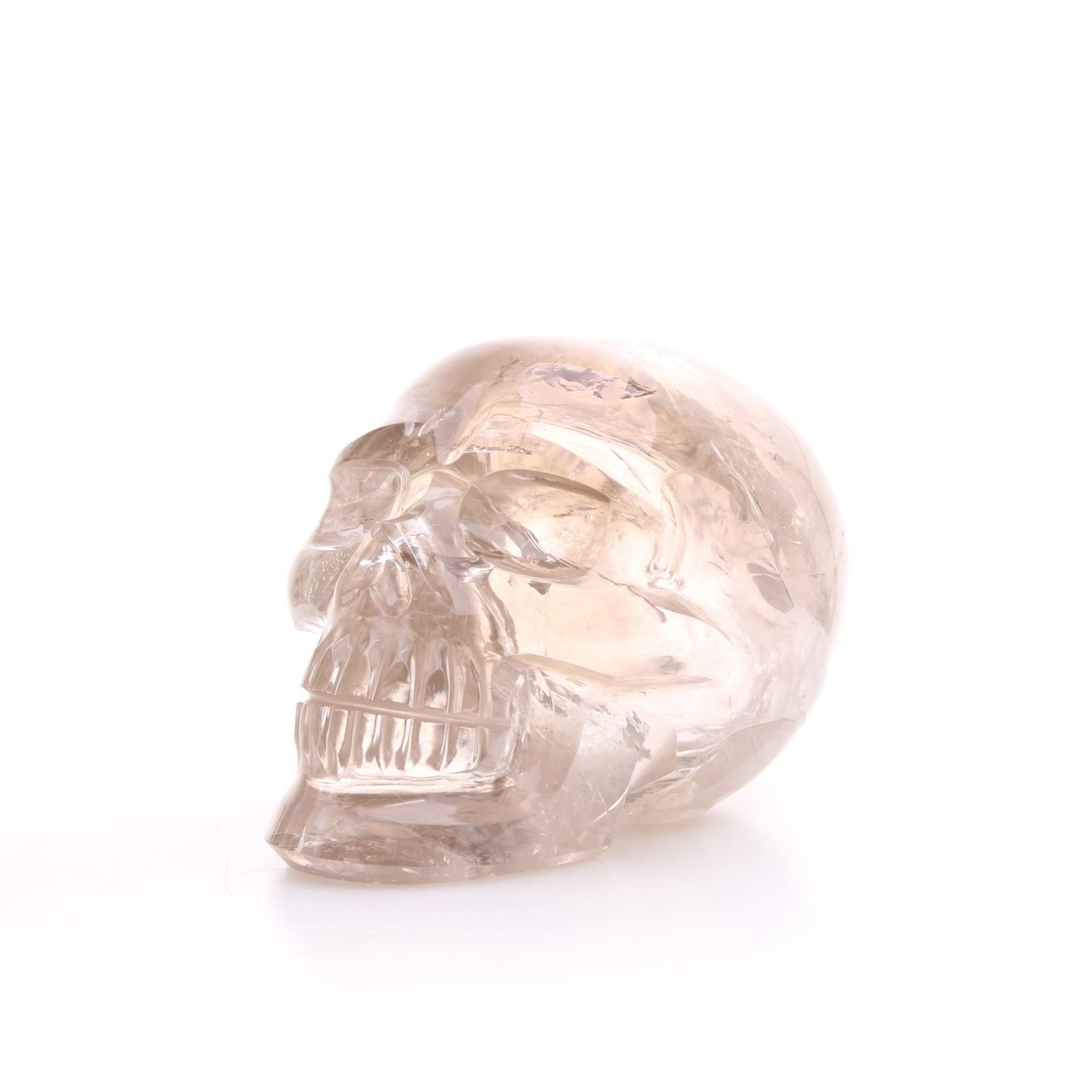 Rookkwarts Skull - 1