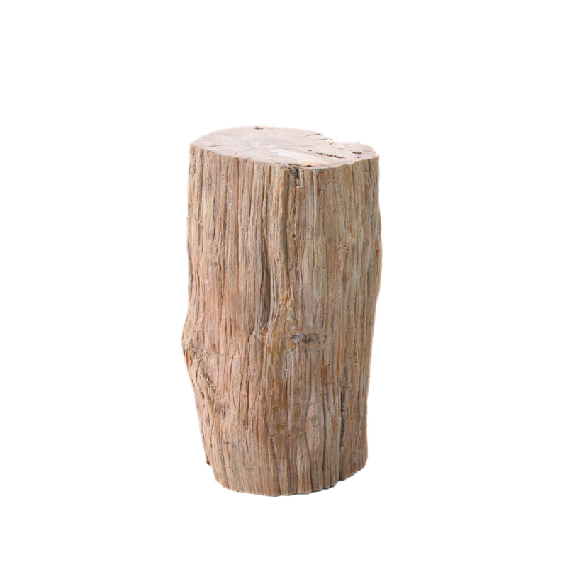 Versteend Hout Stuk - 9