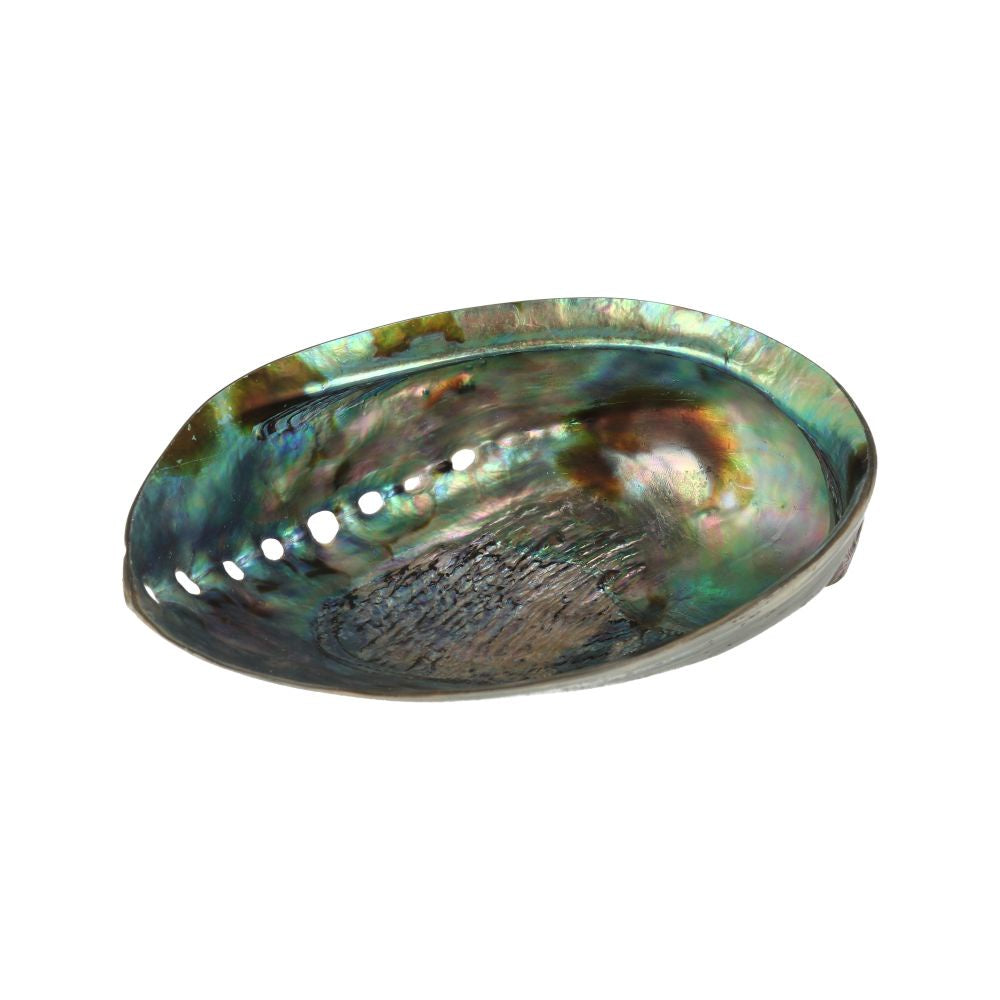 Smudge abalone schelp 12 -14 cm gepolijst