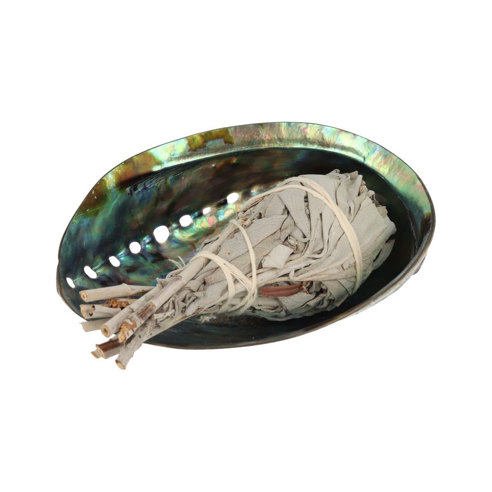 Smudge abalone schelp 12 -14 cm gepolijst