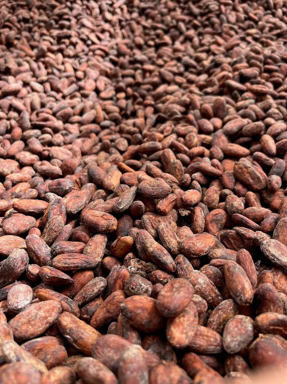 Pure Kakaw - Matagalpa: 100% cacao uit Nicaragua