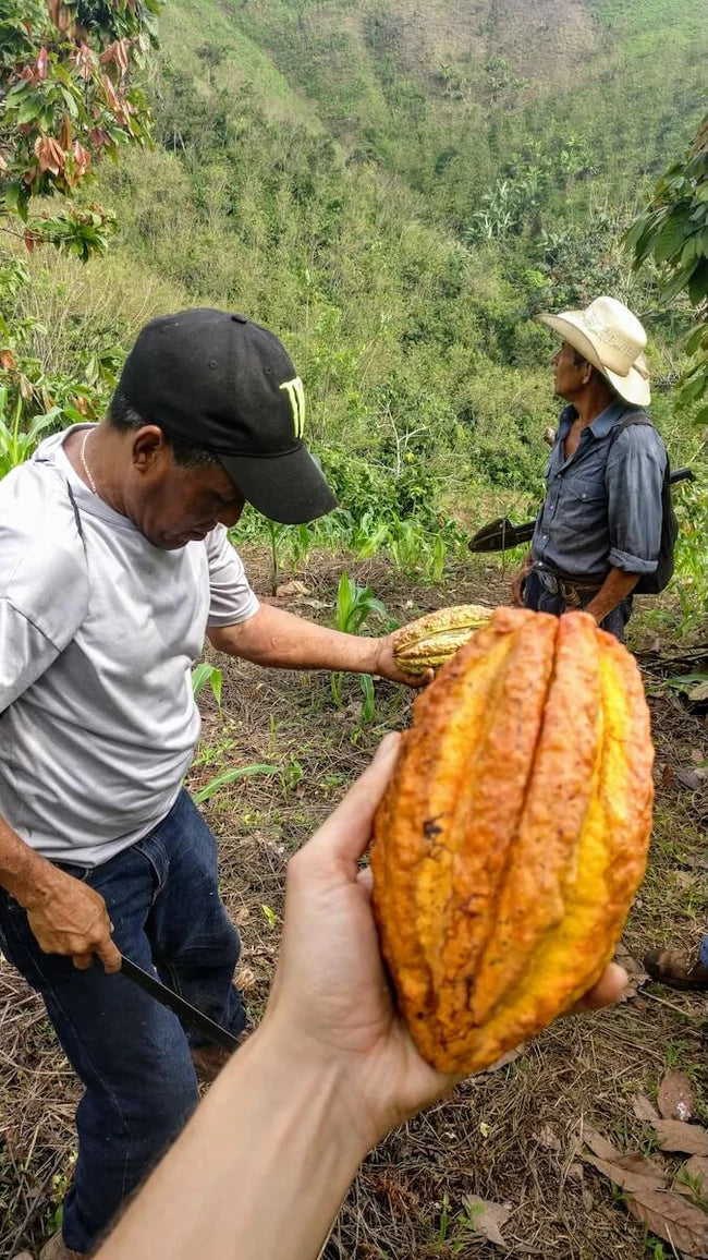 Pure Kakaw - Cahabón: 100% cacao uit Guatemala