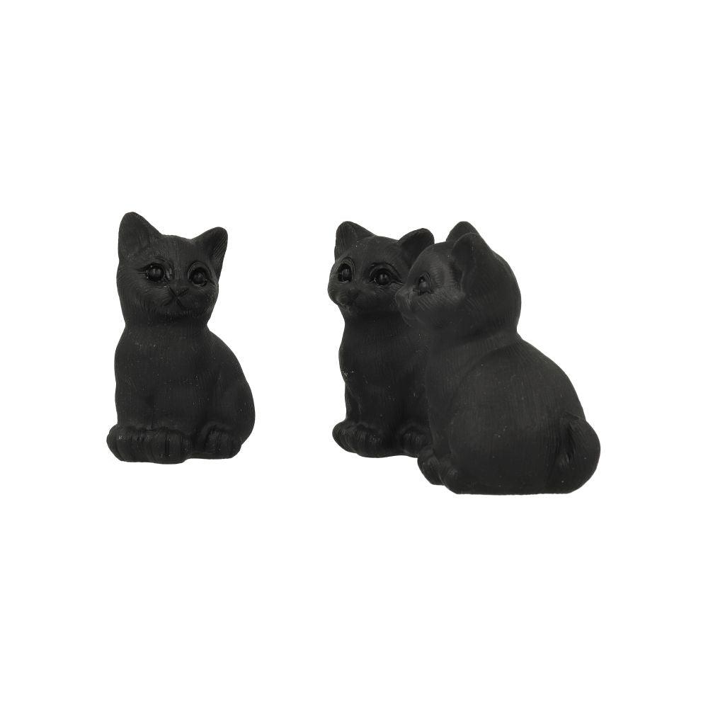 Obsidiaan Kat